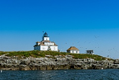 Egg Rock Lighthouse is Part of a Seabird Nesting Sanctuary